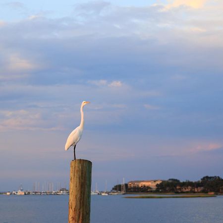 Stoney Creek Villa 299 Hilton Head Island Exteriör bild